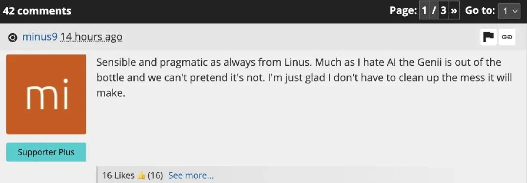 2024 年 Linus 对 AI 的评价